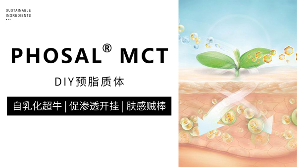 配方师救星！脂质体 PHOSAL® MCT 登场