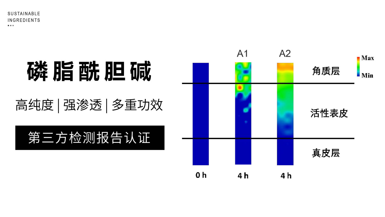 43%助渗率!94%高纯度磷脂的多重优势解析